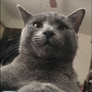 Meet your Posher, Gregory